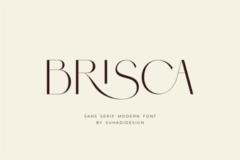 Brisca Font: Modern Typography for Creative Projects